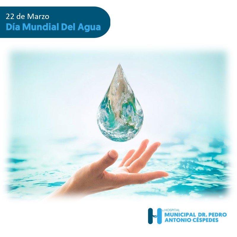 Read more about the article Día Mundial Del Agua