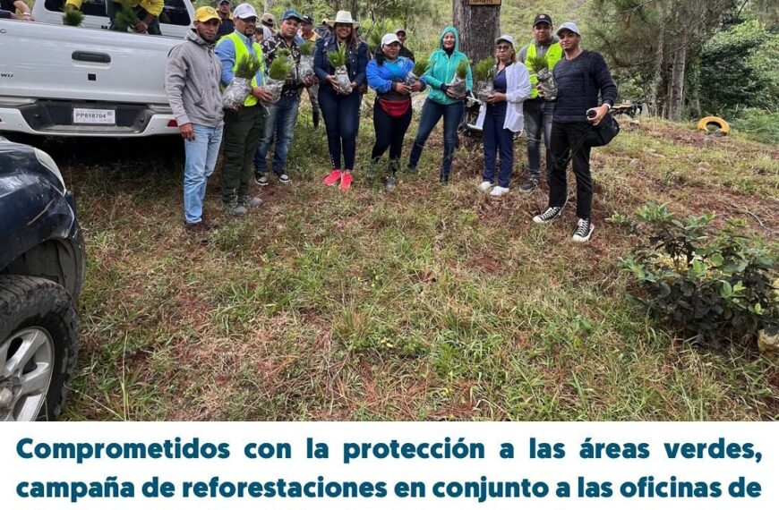 Comprometidos con la protección a las áreas verdes, campaña de reforestaciones en conjunto a las oficinas de Medio Ambiente y Voluntariado de Constanza Cambia